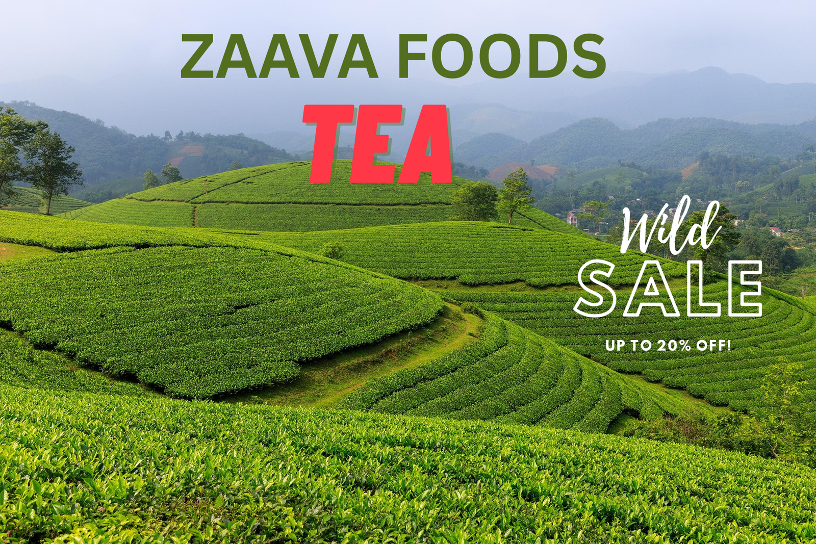 ZAAVA FOODS TEA
